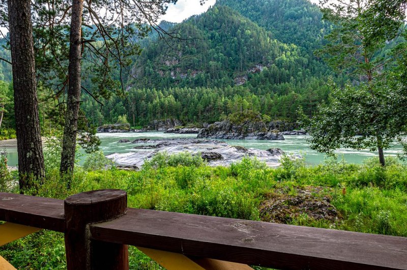 Кедровый остров. Фото 06